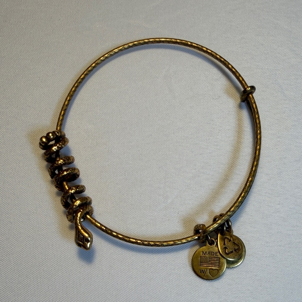 Alex and Ani Gold Snake Charm Bracelet